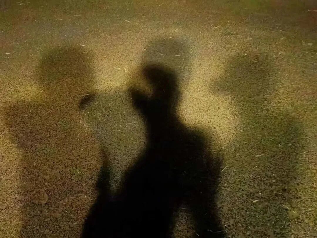 夜晚地面上两个人的影子并排投在草地上