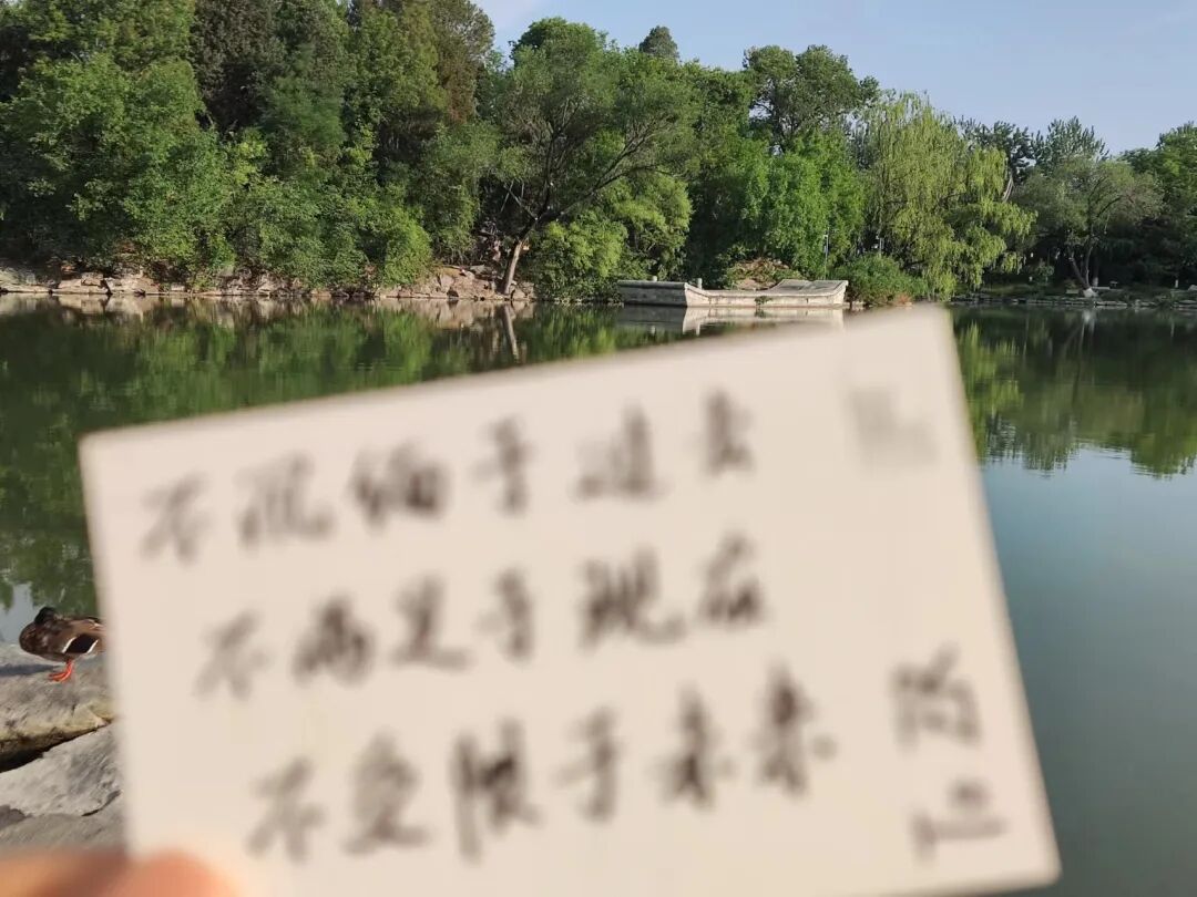 未名湖畔手持写有三行文字便条对着水面