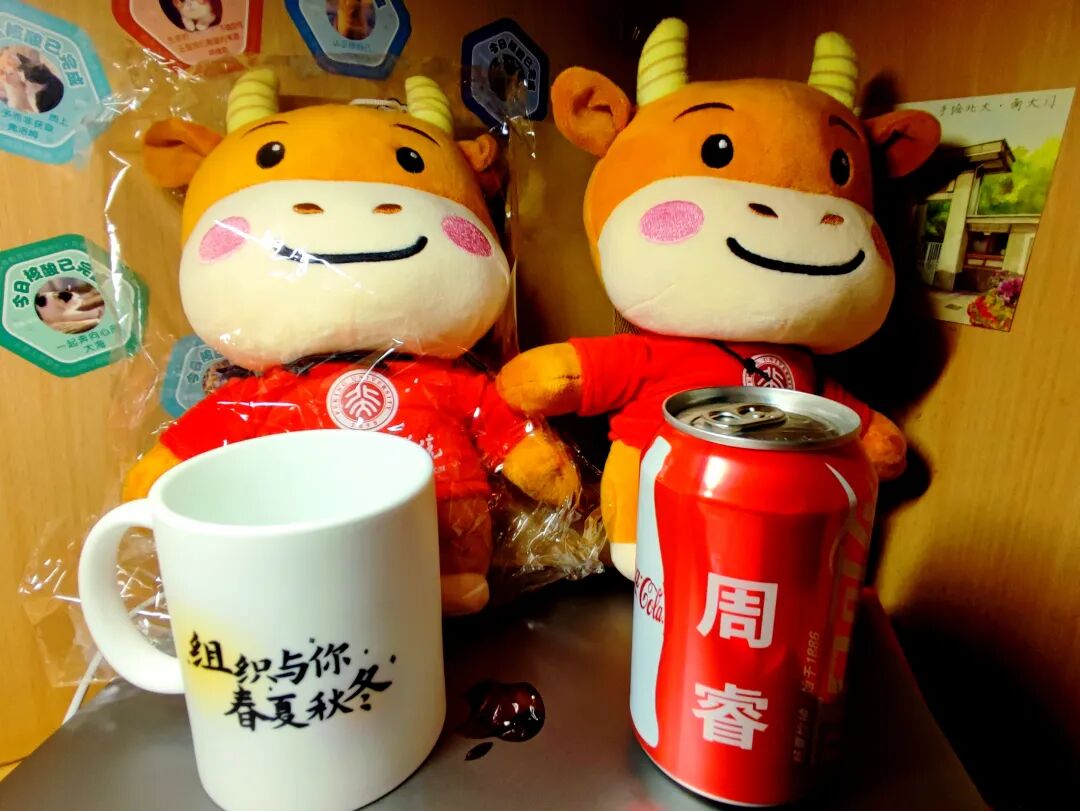 桌上两只北大牛年吉祥物玩偶与定制马克杯