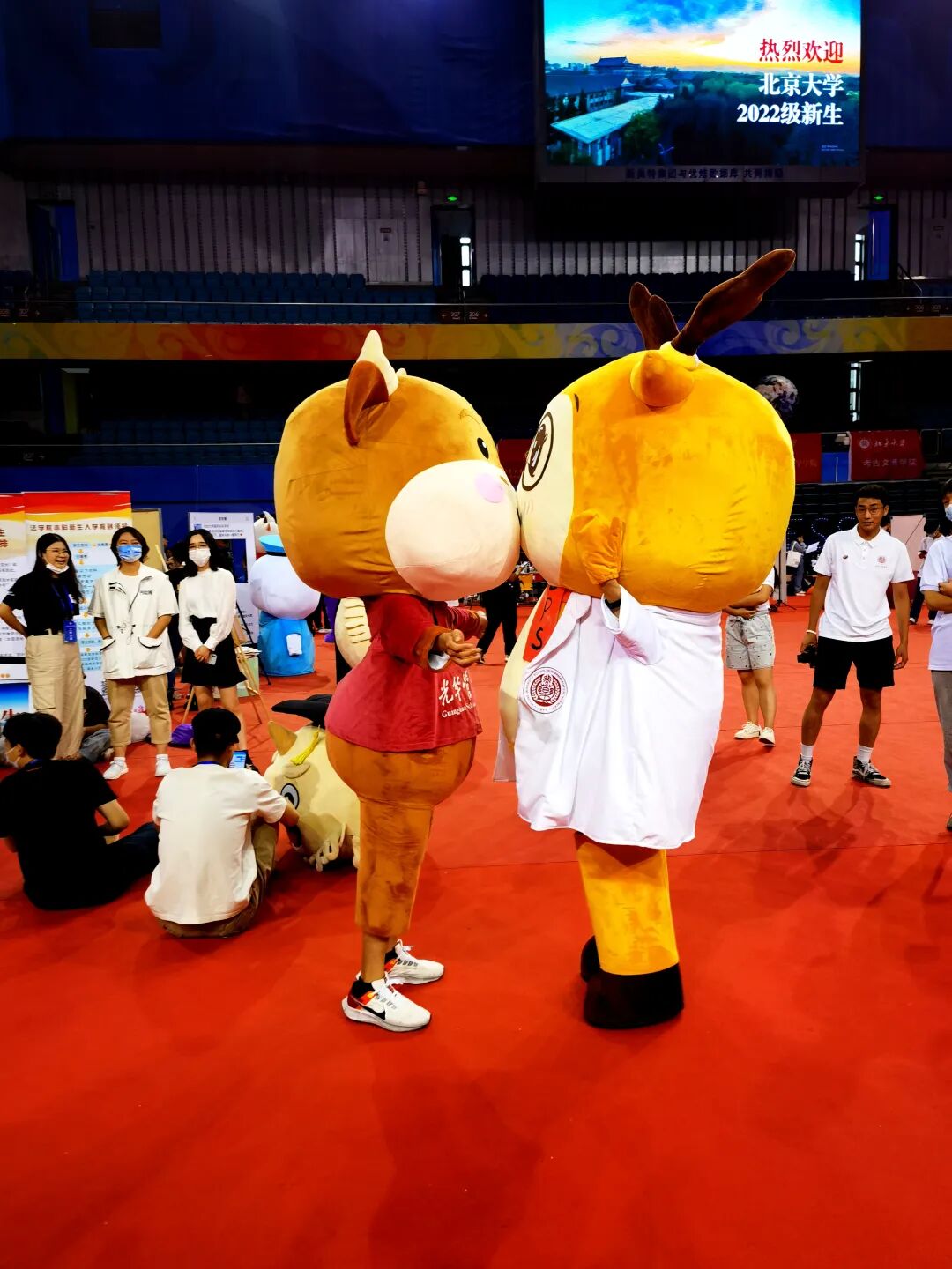 北大 2022 级新生迎新现场两只吉祥物玩偶相互“亲吻”