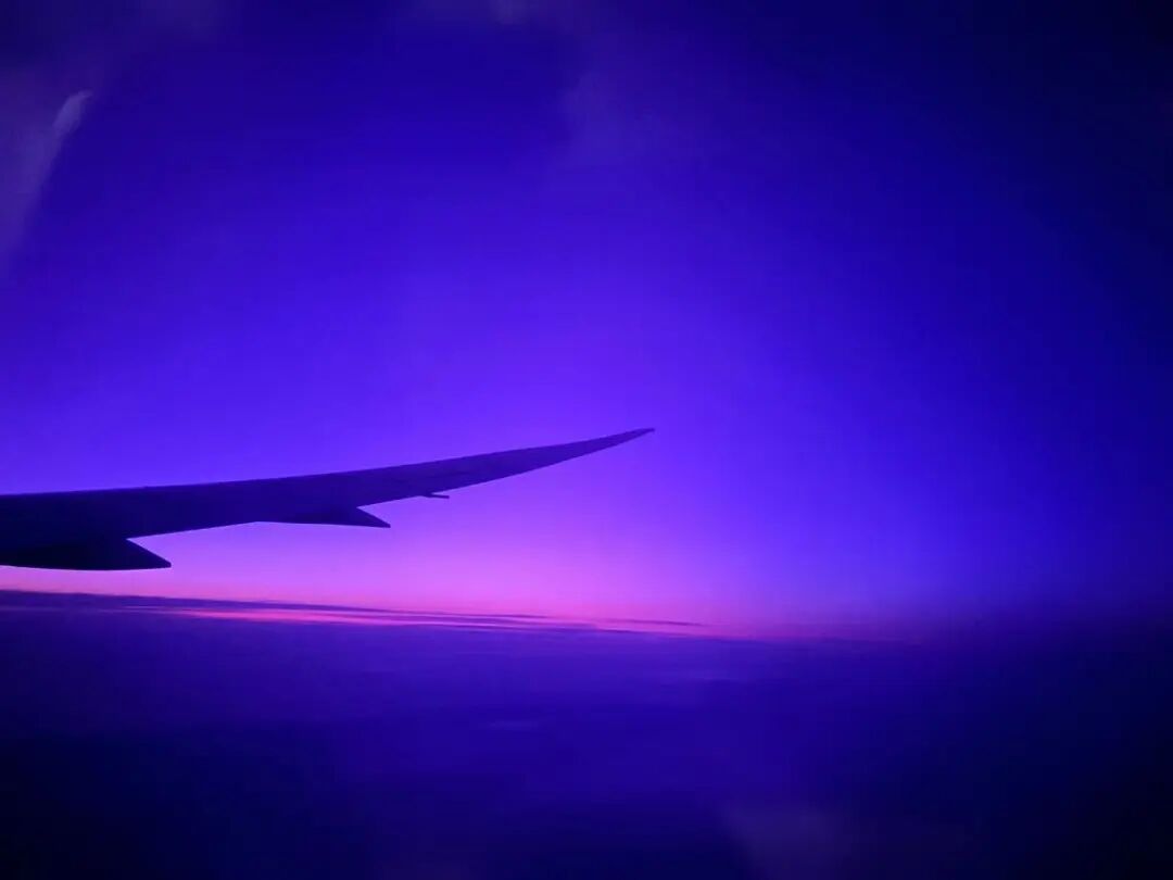 回国航班机翼剪影映在紫蓝色天空与地平线霞光