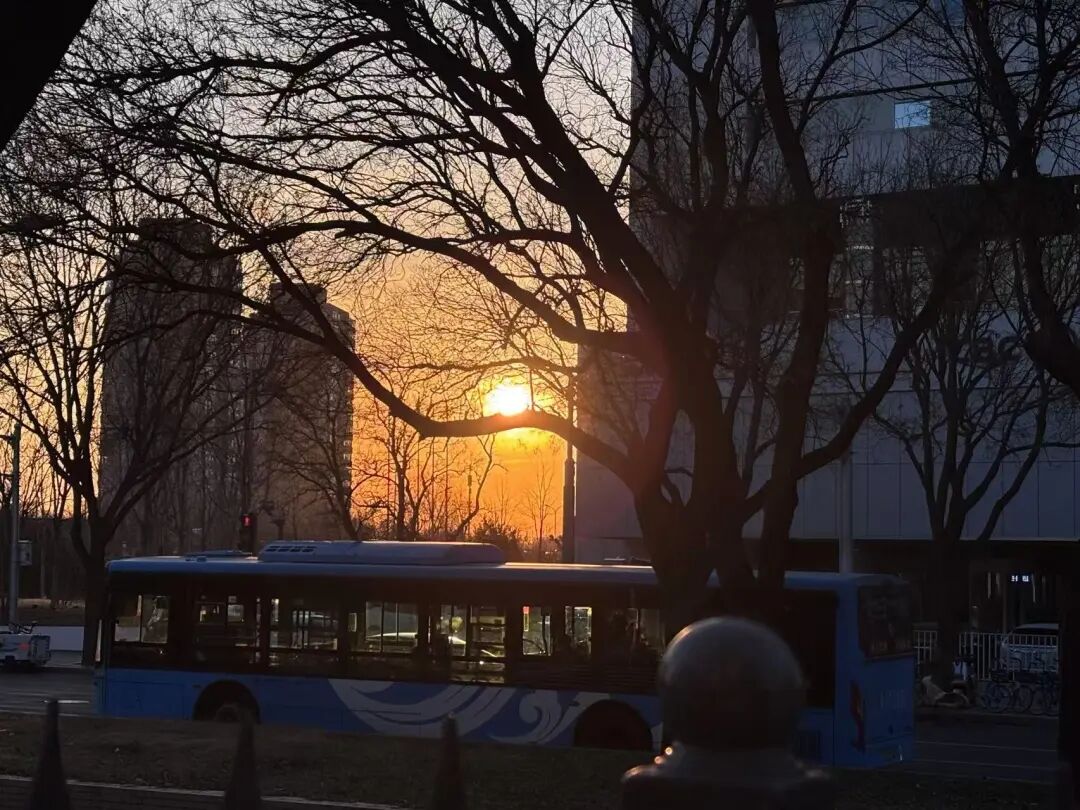 北京街头公交车旁落日余晖穿过枯枝