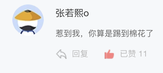 网友评论“惹到我,你算是踢到棉花了”,已赞 11