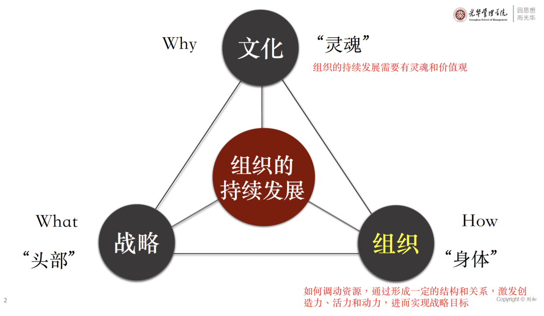组织持续发展三角关系图，文化、战略、组织三个顶点分别对应灵魂、头部、身体