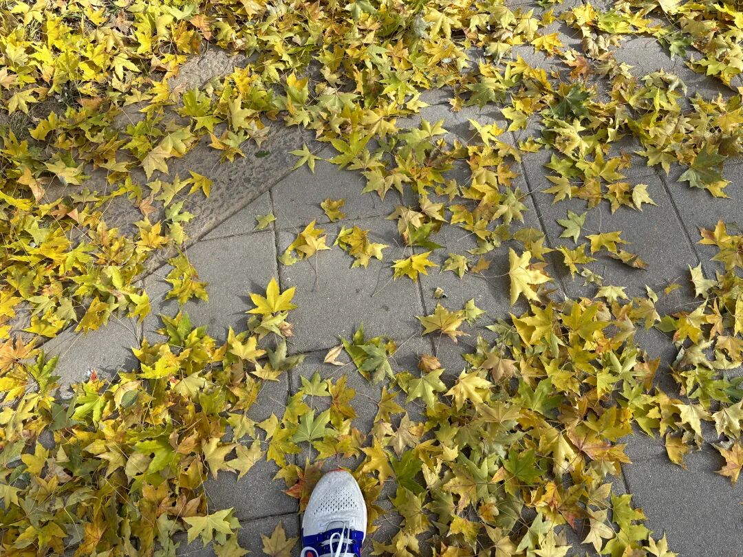 秋日落叶铺满石板路,脚尖入镜