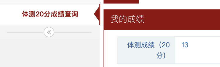 体测20分成绩查询页面显示体测成绩13分